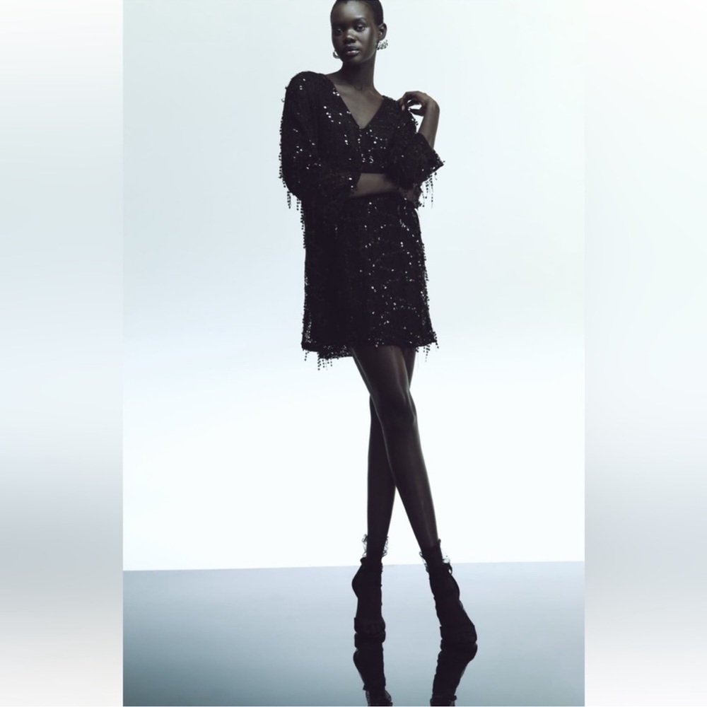 ZARA FRINGED SEQUIN MINI DRESS SIZE SMALL NWT - Picture 2 of 9